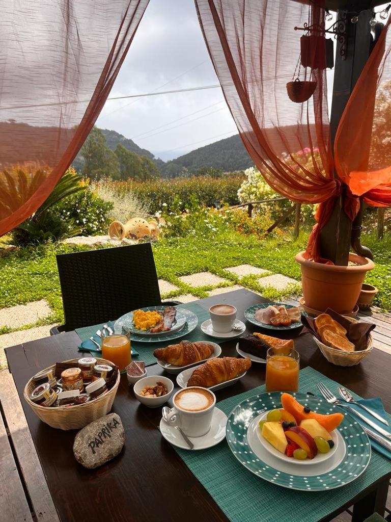 B&B Aloe Ranch Elba Rio dellʼElba 外观 照片
