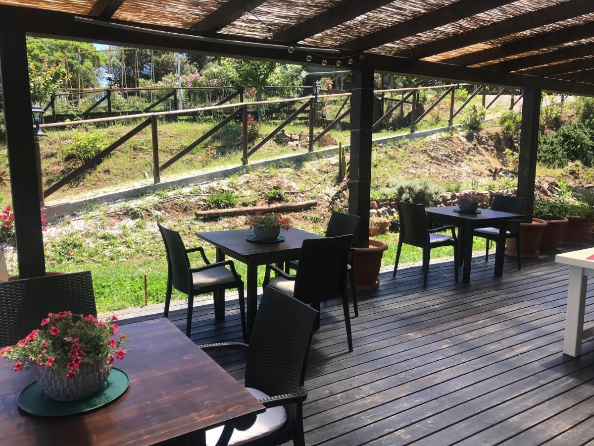 B&B Aloe Ranch Elba Rio dellʼElba 外观 照片