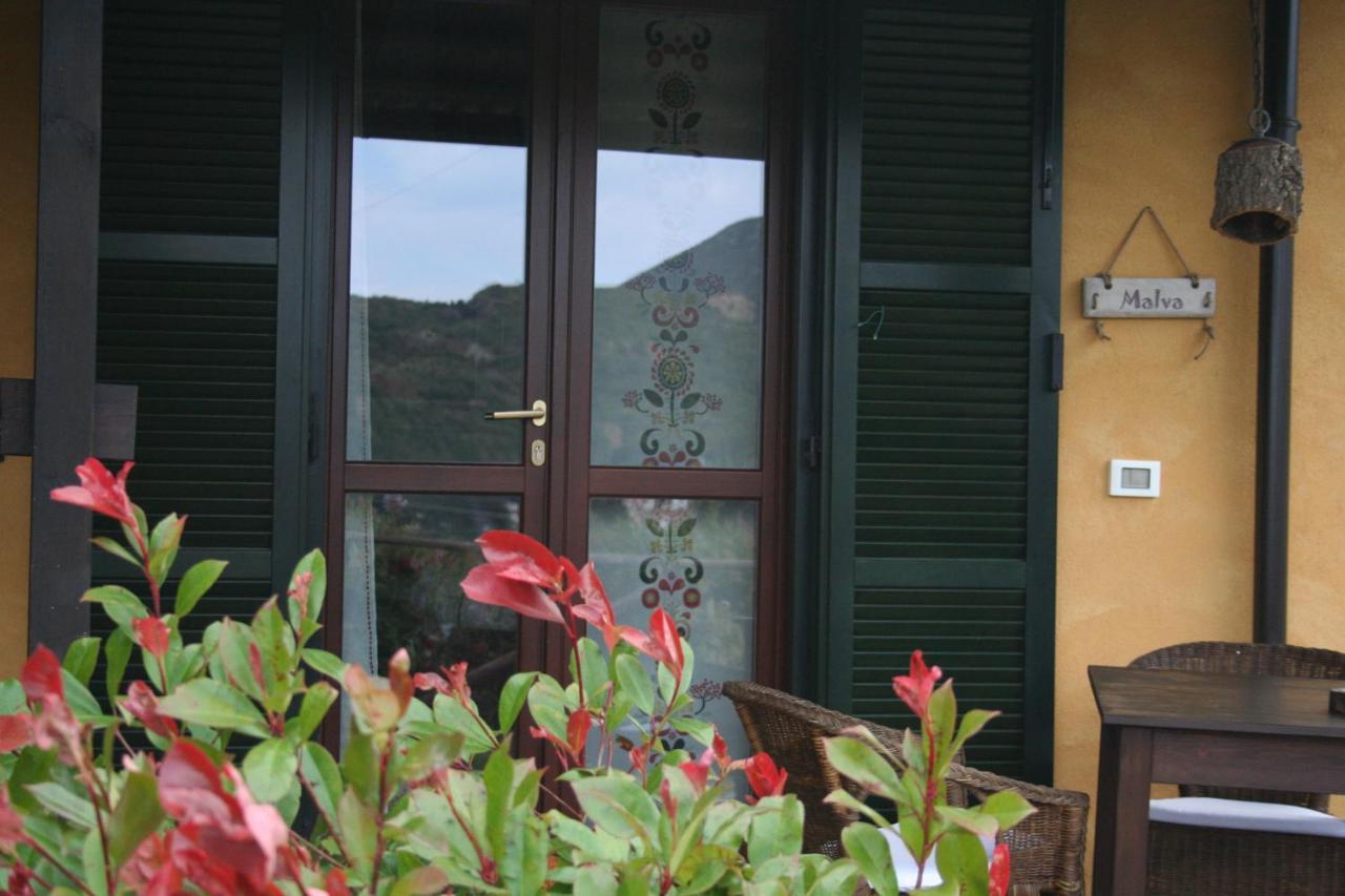B&B Aloe Ranch Elba Rio dellʼElba 外观 照片